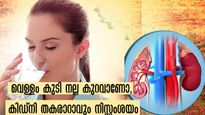 വേനലില്‍ വെള്ളം കുടിക്കാത്തവര്‍ കരുതിയിരിക്കാം: കിഡ്‌നിയുടെ കാര്യം പോക്കാണ്