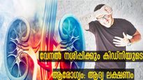 വേനലില്‍ കിഡ്‌നിയുടെ ആരോഗ്യം പ്രതിസന്ധിയില്‍: പരിഹാരം ഇപ്രകാരം