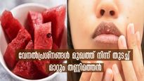 മുഖത്ത് ധൈര്യമായി ഇടാം തണ്ണിമത്തന്‍ ഫേസ്മാസ്‌ക്: പ്രായം പത്ത് കുറക്കാം, ചുളിവും വരകളും അകറ്റാം രണ്ടാഴ്ചയില്‍