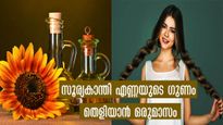 മുടിയില്‍ സൂര്യകാന്തി എണ്ണ ഉപയോഗിച്ചിട്ടുണ്ടോ? ഫലം അത്ഭുതപ്പെടുത്തുമെന്ന് ഒരുമാസത്തിലറിയാം
