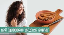 മുടി നല്ല ആരോഗ്യത്തോടെ സമൃദ്ധമായി വളരും മുത്തശ്ശി സൂത്രം കറുവപ്പട്ടയില്‍