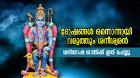 നൂറ് തലമുറക്ക്‌ പുണ്യഫലം; ശനി ജയന്തിയില്‍ ഇത് ചെയ്യൂ, ജീവിതത്തില്‍ ഐശ്വര്യം വിളയാടും