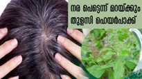 നരച്ച മുടി ഓരോ ദിവസവും കൂടുന്നോ, ആഴ്ചയില്‍ ഒറ്റത്തവണ ഉപയോഗത്തില്‍ 100% ഫലം
