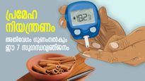 അനിയന്ത്രിത പ്രമേഹം വരുത്തും ഗുരുതര ഭവിഷ്യത്ത്; ബ്ലഡ് ഷുഗര്‍ കുറയ്ക്കുന്ന 7 സുഗന്ധവ്യഞ്ജനങ്ങള്‍