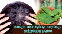 വെളുത്ത മുടി ഒന്ന് പോലുമില്ല: പാര്‍ശ്വഫലങ്ങളില്ലാതെ ധൈര്യമായി ഹെന്ന ചെയ്യൂ