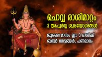ചൊവ്വ രാശിമാറ്റം, 3 ശുഭയോഗം ഒരുമിച്ച്; ജൂലൈ ജീവിതം മാറ്റുന്ന 3 രാശിക്കാര്‍, തൊട്ടതെല്ലാം പൊന്നാകും