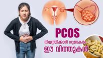 PCOS പ്രശ്‌നമുണ്ടോ? ഈ 5 തരം വിത്ത് നല്‍കും വേദനയില്‍ നിന്ന് ആശ്വാസം