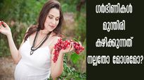 ആദ്യ ട്രൈമസ്റ്ററില്‍ മുന്തിരി കഴിക്കാമോ? അപകടവും ആരോഗ്യവും ഏതൊക്കെ തരത്തില്‍