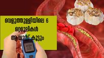 പ്രമേഹത്തിനും കൊളസ്‌ട്രോളിനും കാണുന്ന മരുന്നെല്ലാം കഴിക്കേണ്ട: വെളുത്തുള്ളിയിലെ ആറ് ഒറ്റമൂലികള്‍