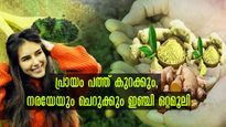 മുടിയും ചര്‍മ്മവും ഒരുപോലെ സംരക്ഷിക്കാന്‍ ഇഞ്ചി ഇപ്രകാരം