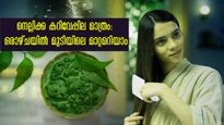 നെല്ലിക്ക - കറിവേപ്പില മിശ്രിതം: ഒരാഴ്ചക്കുള്ളില്‍ മുടിയിലെ മാറ്റം തിരിച്ചറിയാന്‍ സാധിക്കും