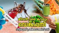 രക്തത്തിലെ പ്ലേറ്റ്‌ലറ്റ് കൗണ്ട് താഴും, ഡെങ്കിപ്പനി അപകടം; ഇവ കഴിച്ച് നേടാം പ്രതിരോധം