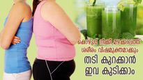 തടികുറക്കാനുള്ള ആദ്യപടി ശരീരത്തെ വിഷമുക്തമാക്കല്‍; മഴക്കാലത്ത് കുടിക്കേണ്ടത് ഇത്‌