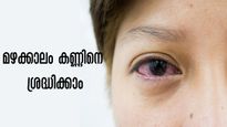 മഴക്കാലം കണ്ണിനുണ്ടാവുന്ന അപകടങ്ങള്‍ നിസ്സാരമാക്കല്ലേ, അറിയേണ്ടത്