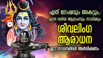 മഹാപ്രഭുവിന്റെ അനുഗ്രഹത്തിന് ശിവലിംഗ ആരാധന; ഇവ അര്‍പ്പിച്ചാല്‍ പരമേശ്വര പ്രീതി പെട്ടെന്ന്