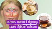 മഴക്കാലത്ത് സൈനസ് അണുബാധ നിസ്സാരമല്ല: രോഗത്തിന് മുന്‍പ് ഒറ്റമൂലി വീട്ടില്‍ ഒരുക്കാം
