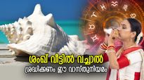 ദേവതകള്‍ കുടികൊള്ളുന്ന ശംഖ്; വാസ്തുപ്രകാരം വീട്ടില്‍ വയ്‌ക്കേണ്ടത് ഇങ്ങനെ, ഇല്ലെങ്കില്‍ ദോഷം