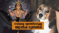 അറിയാതെ വരുന്ന സൗഭാഗ്യങ്ങളും ദോഷമുക്തിയും; നായ്ക്കളെ വളര്‍ത്തിയാലുള്ള ജ്യോതിഷഗുണങ്ങള്‍