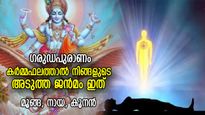 ഗരുഡപുരാണം: 84 ലക്ഷം ജനനചക്രം, കര്‍മ്മങ്ങള്‍ക്കനുസരിച്ച് നിങ്ങളുടെ അടുത്തജന്‍മം ഇത്‌