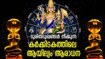 നാഗദൈവങ്ങളുടെ അനുഗ്രഹം, കഷ്ടപ്പാടുകള്‍ പടികടക്കും; കര്‍ക്കിടകത്തിലെ ആയില്യം ആരാധന