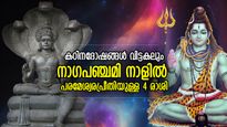 സര്‍പ്പദൈവങ്ങളുടെ കൃപാകടാക്ഷം; നാഗപഞ്ചമി നാളില്‍ പരമേശ്വരപ്രീതി നേടുന്ന 4 രാശിക്കാര്‍