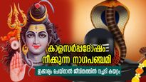നല്ലതിനെപ്പോലും നശിപ്പിക്കുന്ന കാളസര്‍പ്പദോഷം; ഈ പ്രതിവിധിയിലൂടെ മോക്ഷപ്രാപ്തി ഉറപ്പ്‌