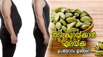 ശരീരഭാരമാണോ പ്രശ്നം? തടി കുറയ്ക്കാൻ ഏലയ്ക്ക മതി, ഉപയോഗം ഇങ്ങനെ
