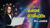 മുന്നോട്ടുള്ള പാതയില്‍ ഇടറാതെ നീങ്ങും, ആഗ്രഹിച്ച വിജയം അടുത്ത്; കരിയര്‍ മാസഫലം