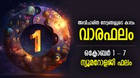 Numerology Weekly Horoscope: അസുലഭാവസരങ്ങള്‍ തേടിയെത്തും, ഈ ആഴ്ച നേട്ടങ്ങളുടെ ചാകര