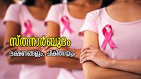 സ്തനാര്‍ബുദം: ലക്ഷണങ്ങള്‍ നേരത്തേയറിയാം, ജീവന്‍ രക്ഷിക്കാം; ഇവരാണ് വില്ലന്‍