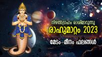 ഒന്നരവര്‍ഷം പ്രതിഫലിക്കുന്ന മാറ്റം, മീനരാശിയില്‍ രാഹു സംക്രമണം; 12 രാശിക്കും ഫലങ്ങള്‍