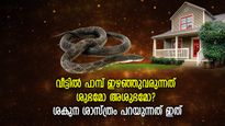 വീട്ടില്‍ പാമ്പ് ഇഴഞ്ഞുവരുന്നത് ശുഭമോ അശുഭമോ? ഭാവിജീവിതത്തിന്റെ സൂചനകള്‍ ഇത്
