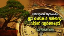 നെഗറ്റീവ് എനര്‍ജിയും, കുടുംബത്തിന് ദോഷവും; ഒരിക്കലും വളര്‍ത്തരുത്‌ വീട്ടില്‍ ഈ ചെടികള്‍
