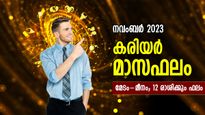 വിജയത്തിനായുള്ള പോരാട്ടം ഫലം കാണും, ഉന്നതിയിലേക്ക് ഉയരും; കരിയര്‍ മാസഫലം