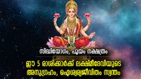 ദേവി അനുഗ്രഹിക്കും, എല്ലാ മേഖലകളിലും ശുഭഫലങ്ങള്‍, ഇന്ന് ലക്ഷ്മീകടാക്ഷം ഈ 5 രാശിക്ക്