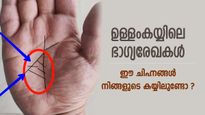 ഉള്ളംകയ്യിലെ രേഖകള്‍ പറയും പണനേട്ടവും ജീവിതഭാഗ്യവും; ഈ രേഖ നിങ്ങളുടെ കയ്യിലുണ്ടോ ?