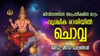 ഭാഗ്യനാളുകള്‍ തുടങ്ങുന്നു, വൃശ്ചികത്തില്‍ ചൊവ്വ; വരുന്ന ഒന്നരമാസം 12 രാശിക്കും ജീവിതത്തില്‍ മാറ്റം