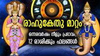 രാഹു മീനത്തിലും കേതു കന്നിയിലും; 12 രാശിക്കും ജീവിതത്തില്‍ വലിയ മാറ്റം, ഫലങ്ങള്‍