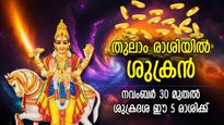 സ്വരാശി തുലാത്തില്‍ ശുക്രന്‍, ധനഭാഗ്യം ജീവിതം മാറ്റും; നവംബര്‍ 30 മുതല്‍ ശുക്രദശ തെളിയുന്ന 5 രാശി