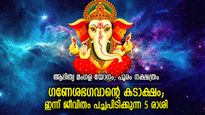 തേടിവരും സൗഭാഗ്യ നേട്ടങ്ങള്‍, ഈ 5 രാശിക്ക് ഇന്ന് ഗണേശകൃപയാല്‍ ഭാഗ്യദിനം