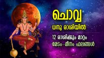 ഭാഗ്യാനുഭവങ്ങളോടെ പുതുവര്‍ഷം, ചൊവ്വ ധനു രാശിയില്‍; 12 രാശിക്കും മാറ്റം ഇങ്ങനെ