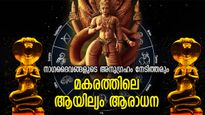 ശാപദോഷം, മാറാവ്യാധികള്‍ക്ക് പ്രതിവിധി; നാഗപ്രീതിക്ക് ഉത്തമം മകരമാസ ആയില്യം