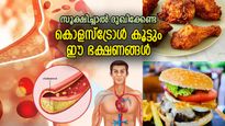 ആരോഗ്യം തകരാറിലാക്കുന്ന വില്ലന്‍, കൊളസ്‌ട്രോള്‍ ലെവല്‍ ഉയര്‍ത്തും ഈ ഭക്ഷണങ്ങള്‍