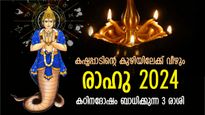 ധനനഷ്ടത്തോടൊപ്പം അപകടവും, വര്‍ഷം മുഴുവനും രാഹു മീനത്തില്‍; ഈ 3 രാശിക്ക് ദോഷകാലം