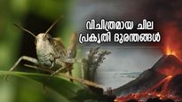 വേനല്‍ കാലമില്ലാത്ത വര്‍ഷം, വെട്ടുകിളി ആക്രമണം; ചരിത്രത്തിലെ വിചിത്രമായ പ്രകൃതി ദുരന്തങ്ങൾ