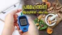 മരുന്നിന്റെ കൂട്ട് വേണ്ട; പ്രമേഹത്തിന് പ്രതിവിധി ഈ ആയുര്‍വേദ പരിഹാരങ്ങള്‍