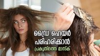 വരണ്ട മുടിക്ക് പ്രകൃതി ഒരുക്കിയ വരദാനം; ഫലപ്രദം ഈ ഹെയര്‍ മാസ്‌ക്, കുറഞ്ഞ ഉപയോഗത്തില്‍ ഫലം