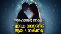 പങ്കാളിയെ ആകര്‍ഷിക്കാന്‍ പ്രത്യേക കഴിവ് ഈ രാശിക്ക്; ഇവരുടെ റൊമാന്‍സിനെ ആര്‍ക്കും വെല്ലാനാകില്ല