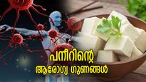 ആര്‍ത്തവവിരാമ പ്രശ്‌നങ്ങള്‍ക്കും ബീജഗുണത്തിനും പനീര്‍ ഒരു ഔഷധം; ഗുണങ്ങള്‍ നിരവധി