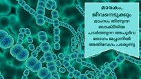 മാംസം തിന്നുന്ന ബാക്ടീരിയ പരത്തുന്ന മാരകരോഗം ജപ്പാനില്‍ അതിവേഗം പടരുന്നു, രോഗം പടരുന്നത് ഇങ്ങനെ